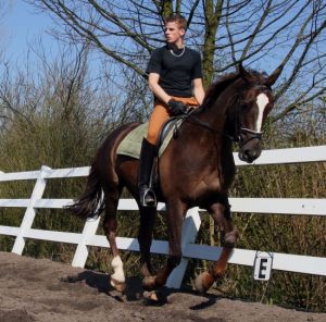 Horseback Riding