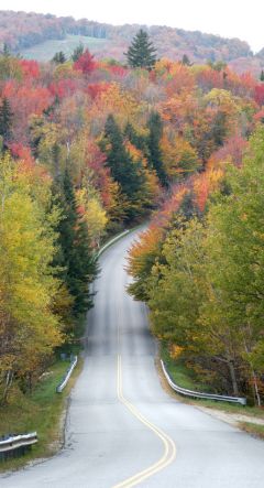 Mountain Roads