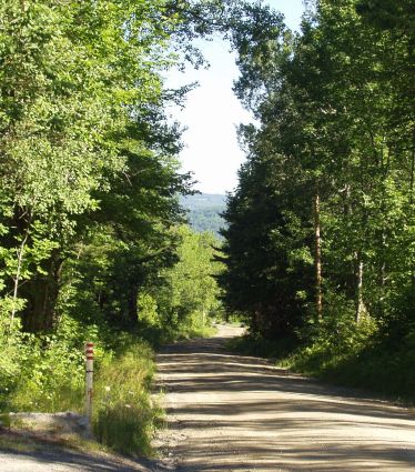 View Down Wallace Hill